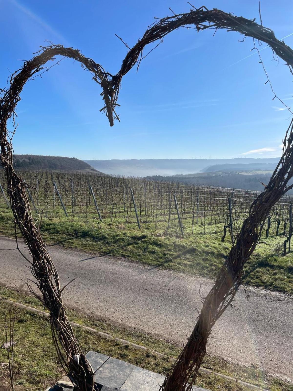 Neue Fewo Mit Schlossblick - Urlaub Im Wein- Und Ferienort 베콘드 외부 사진